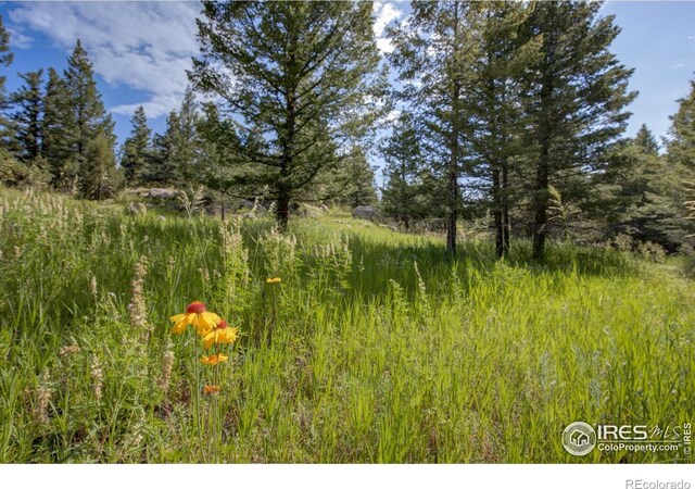4 Lakeshore Park Rd, Boulder, CO 80302