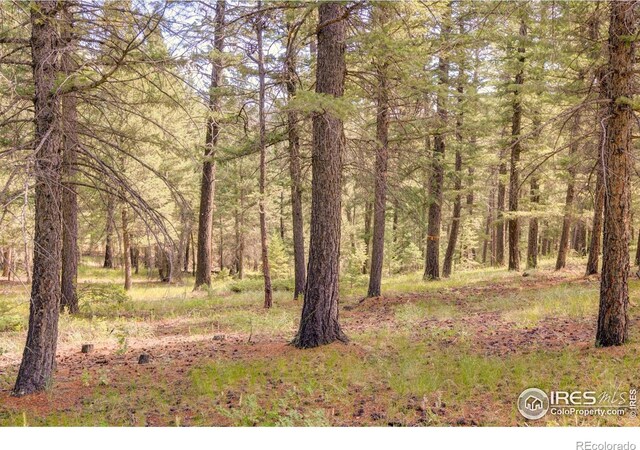 4 Lakeshore Park Rd, Boulder, CO 80302
