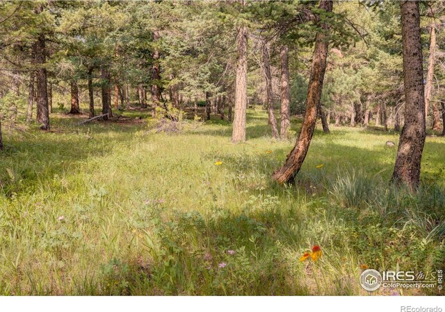 4 Lakeshore Park Rd, Boulder, CO 80302