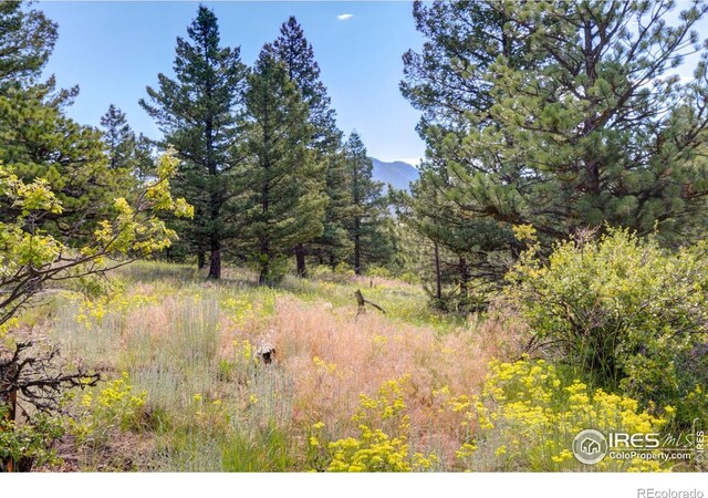 4 Lakeshore Park Rd, Boulder, CO 80302