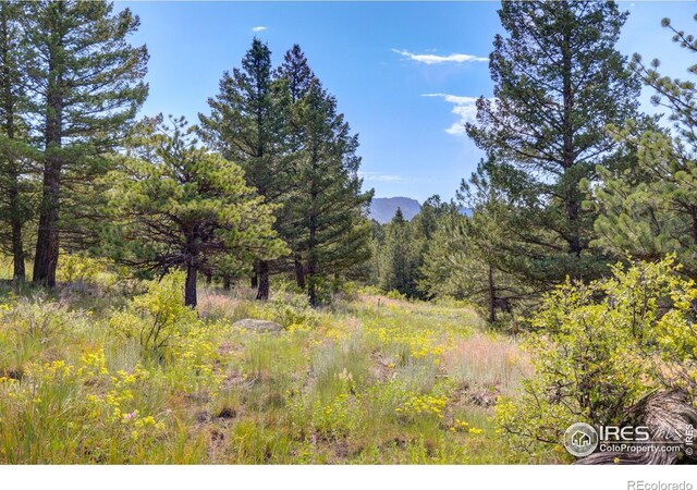 4 Lakeshore Park Rd, Boulder, CO 80302