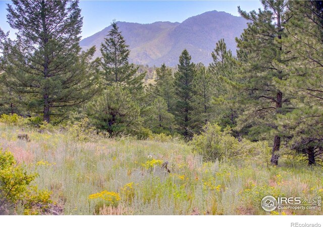 4 Lakeshore Park Rd, Boulder, CO 80302