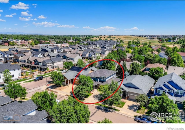 312 Decino Pl, Erie, CO 80516 - photo 4