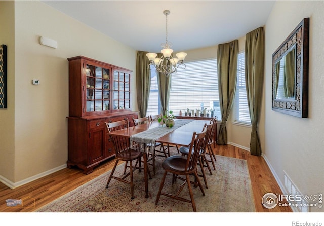 312 Decino Pl, Erie, CO 80516 - photo 11