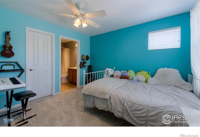 312 Decino Pl, Erie, CO 80516 - photo 18