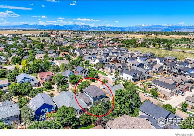 312 Decino Pl, Erie, CO 80516 - photo 36