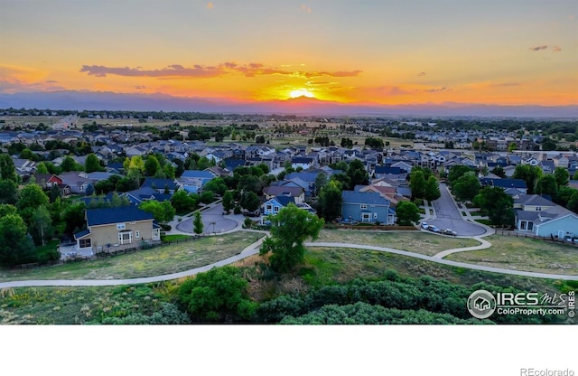 312 Decino Pl, Erie, CO 80516 - photo 31