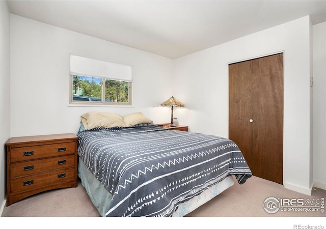 775 Haystack Dr, Livermore, CO 80536 - photo 9