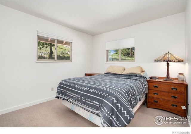 775 Haystack Dr, Livermore, CO 80536 - photo 10