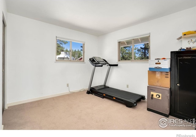 775 Haystack Dr, Livermore, CO 80536 - photo 11