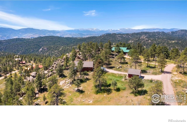 775 Haystack Dr, Livermore, CO 80536 - photo 24