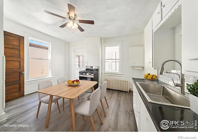 1103 10th Ave, Greeley, CO 80631 - photo 18