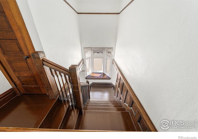 1103 10th Ave, Greeley, CO 80631 - photo 22