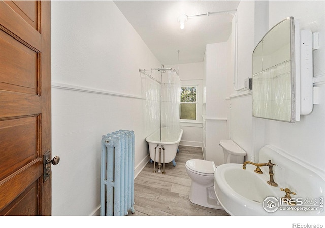 1103 10th Ave, Greeley, CO 80631 - photo 34