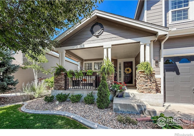 1917 Ute Creek Dr, Longmont, CO 80504 - photo 3