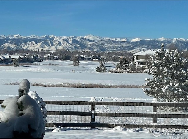 1917 Ute Creek Dr, Longmont, CO 80504 - photo 33