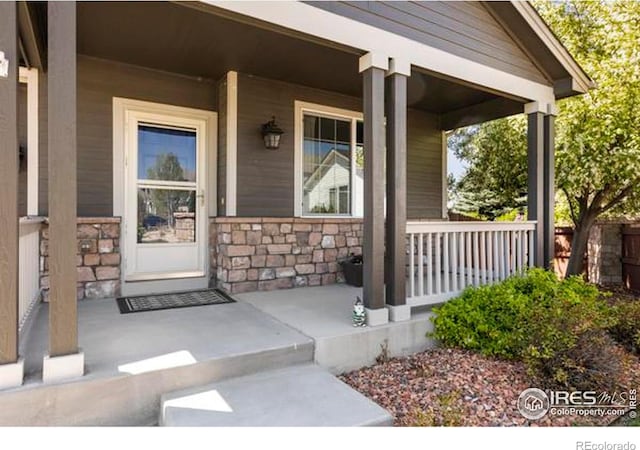 6117 Gold Dust Rd, Timnath, CO 80547 - photo 6
