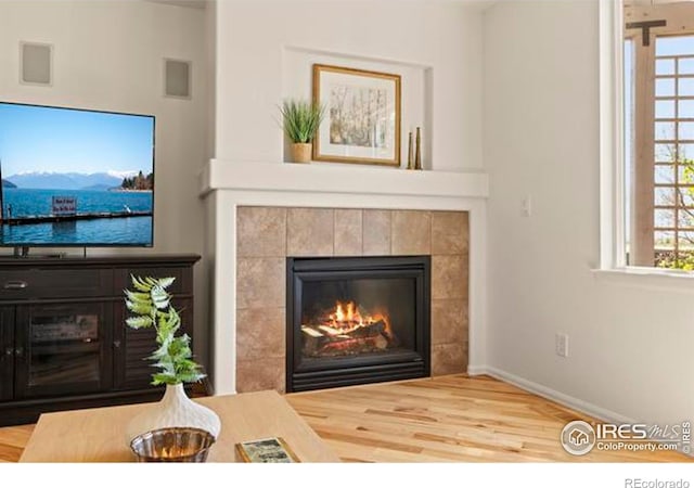6117 Gold Dust Rd, Timnath, CO 80547 - photo 19