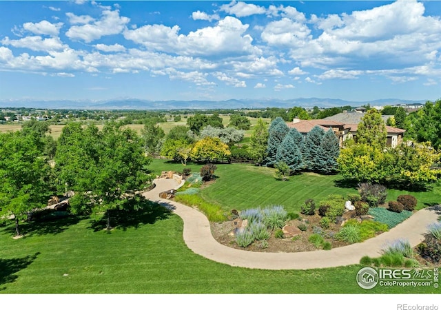 4365 Thompson Pkwy, Johnstown, CO 80534 - photo 39