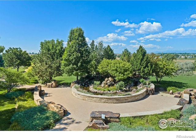 4365 Thompson Pkwy, Johnstown, CO 80534 - photo 40