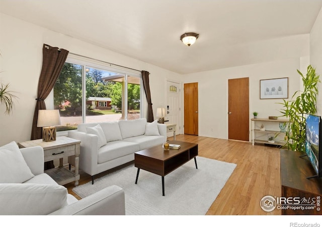 1408 Hillcrest Dr, Fort Collins, CO 80521 - photo 5