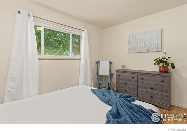 1408 Hillcrest Dr, Fort Collins, CO 80521 - photo 11