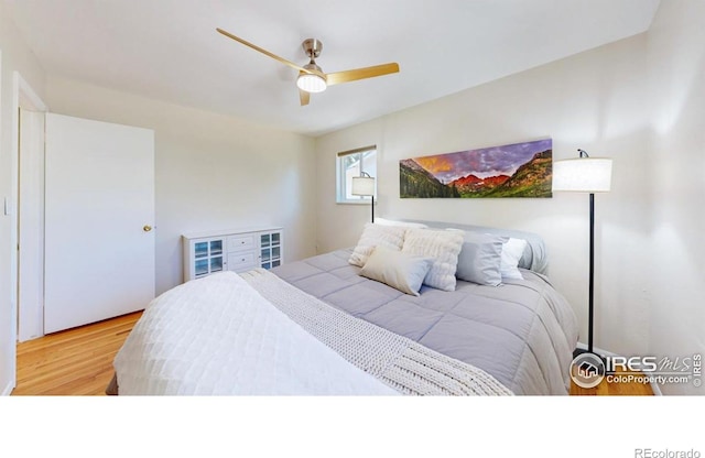 1129 Ponderosa Dr, Fort Collins, CO 80521 - photo 15