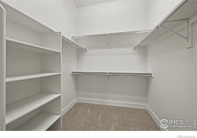3031 Thunder Lake Cir, Lafayette, CO 80026 - spacious closet with carpet floors