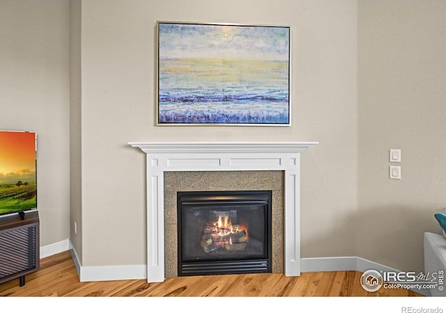 3031 Thunder Lake Cir, Lafayette, CO 80026 - detailed view of wood finished floors and a glass covered fireplace