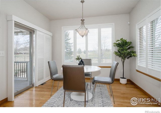 6771 Crooked Stick Dr, Windsor, CO 80550 - dining space featuring light wood-style flooring