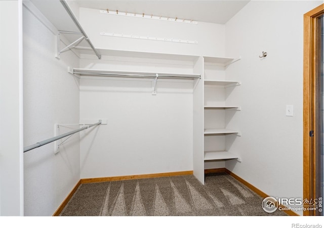 6771 Crooked Stick Dr, Windsor, CO 80550 - spacious closet featuring carpet flooring