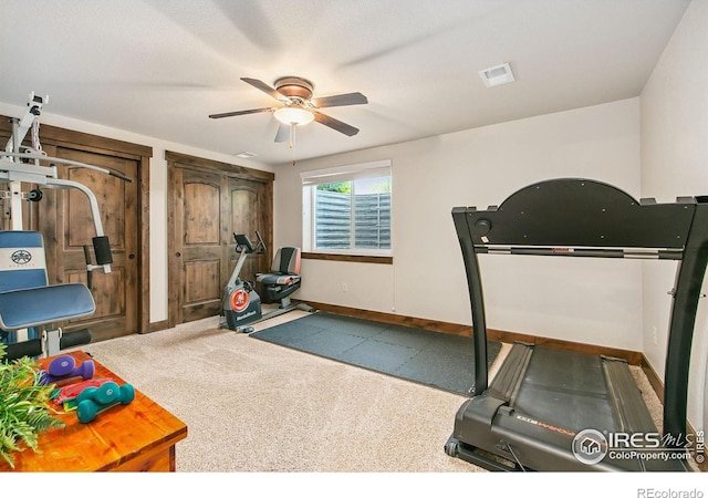 973 Skipping Stone Ct, Timnath, CO 80547 - workout room featuring a ceiling fan and baseboards