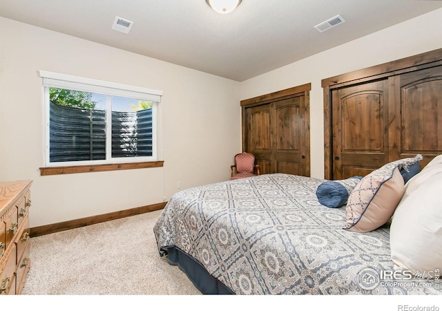 973 Skipping Stone Ct, Timnath, CO 80547 - bedroom with carpet flooring and multiple closets
