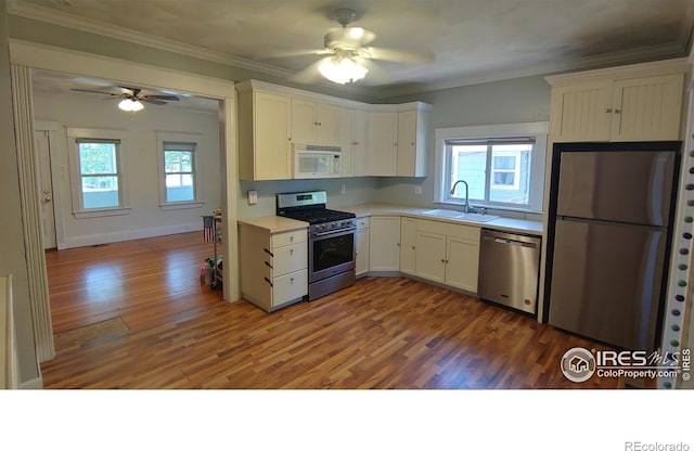 22 Elm St, Windsor, CO 80550 - photo 2