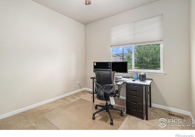 843 Settlers Dr, Milliken, CO 80543 - photo 15