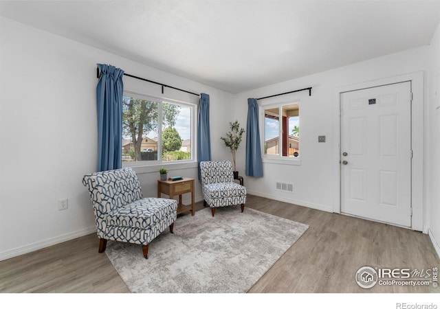 114 Berwick Ave, Firestone, CO 80520 - living area with light wood finished floors and healthy amount of natural light