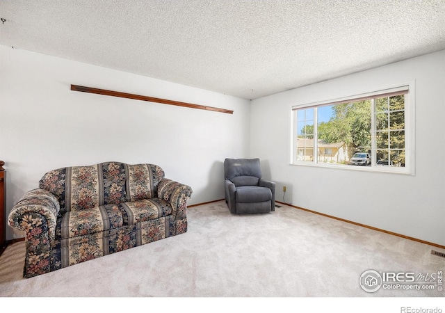 3066 W 134th Ct, Broomfield, CO 80020 - sitting room featuring carpet floors and a textured ceiling