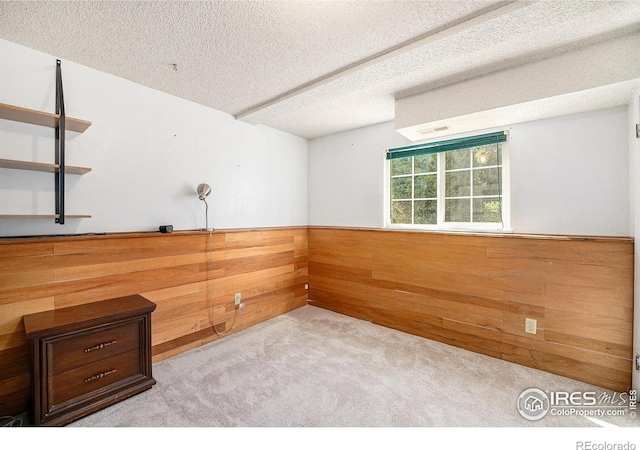 3066 W 134th Ct, Broomfield, CO 80020 - spare room featuring wood walls, a textured ceiling, a wainscoted wall, and carpet