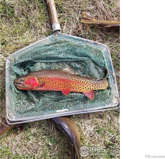 69 Mt Massive Trout Clb, Leadville, CO 80461 - photo 11