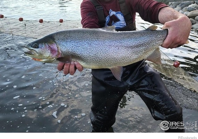 69 Mt Massive Trout Clb, Leadville, CO 80461 - photo 7