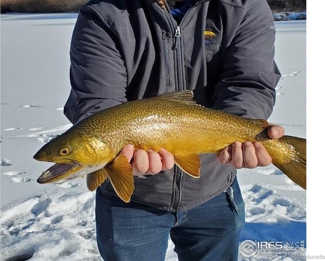 69 Mt Massive Trout Clb, Leadville, CO 80461 - photo 36