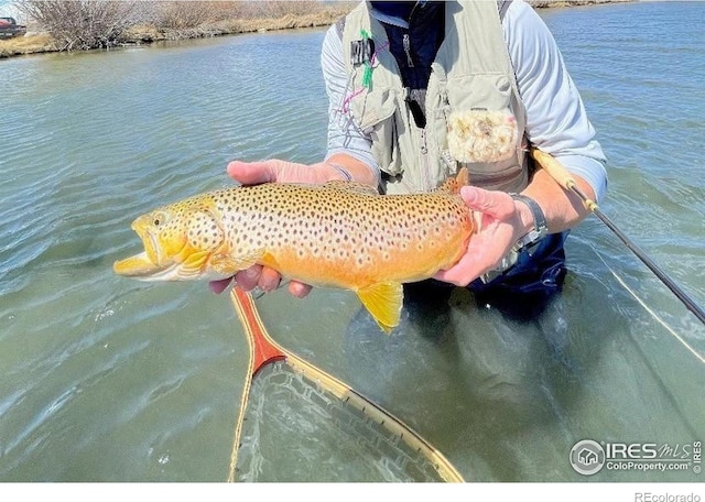 69 Mt Massive Trout Clb, Leadville, CO 80461 - photo 37