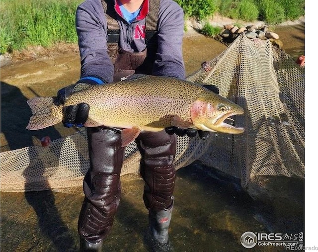 69 Mt Massive Trout Clb, Leadville, CO 80461 - photo 39