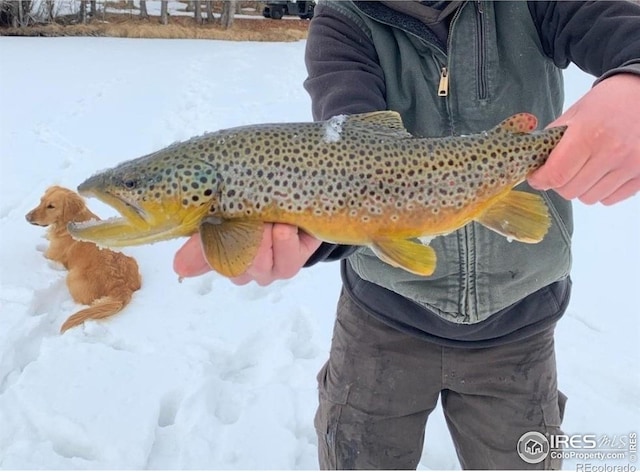 69 Mt Massive Trout Clb, Leadville, CO 80461 - photo 5