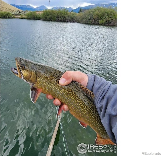 69 Mt Massive Trout Clb, Leadville, CO 80461 - photo 9
