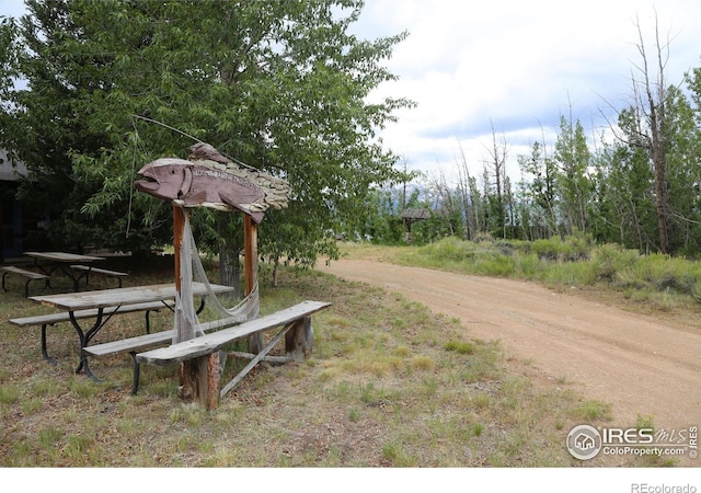 69 Mt Massive Trout Clb, Leadville, CO 80461 - photo 12
