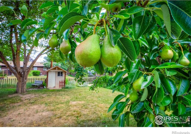 1801 W 22nd St, Loveland, CO 80538 - photo 5