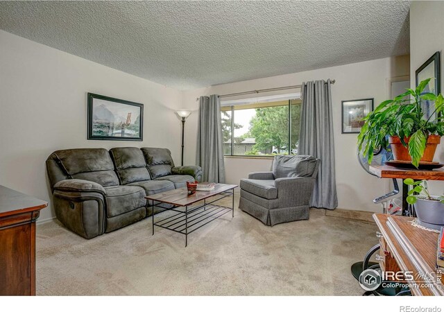 1801 W 22nd St, Loveland, CO 80538 - photo 11