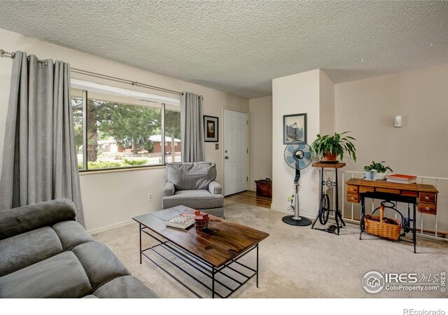 1801 W 22nd St, Loveland, CO 80538 - photo 12