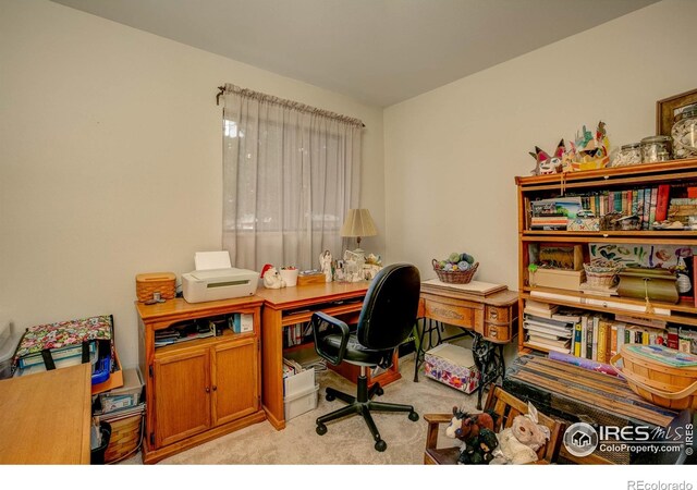1801 W 22nd St, Loveland, CO 80538 - photo 20